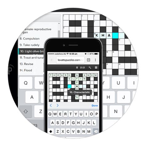 amny crossword|amny digital crossword puzzle.